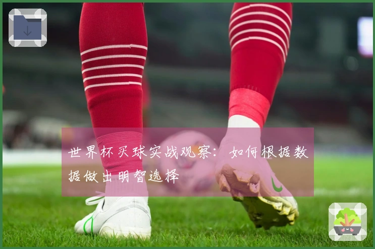 世界杯买球实战观察：如何根据数据做出明智选择