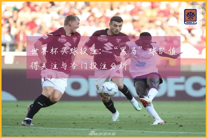 世界杯买球投注:“黑马”球队值得关注与冷门投注分析