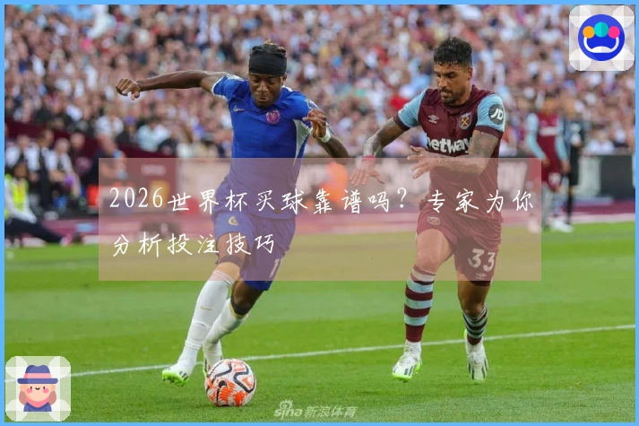 2026世界杯买球靠谱吗？专家为你分析投注技巧