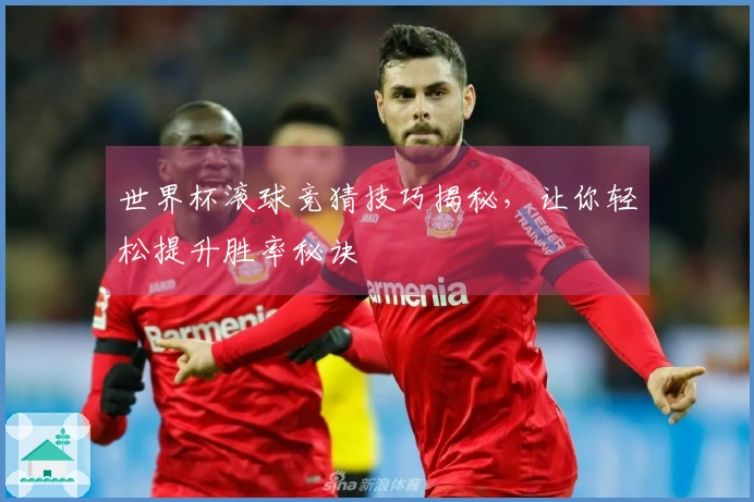 世界杯滚球竞猜技巧揭秘,让你轻松提升胜率秘诀