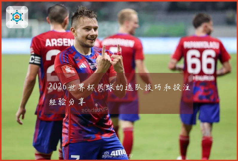 2026世界杯买球的选队技巧和投注经验分享