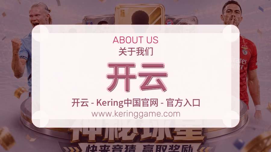 平台责任